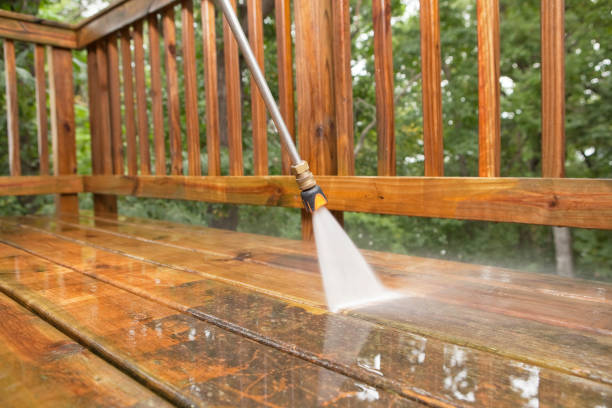 Best Driveway Pressure Washing  in Chesterton, IN